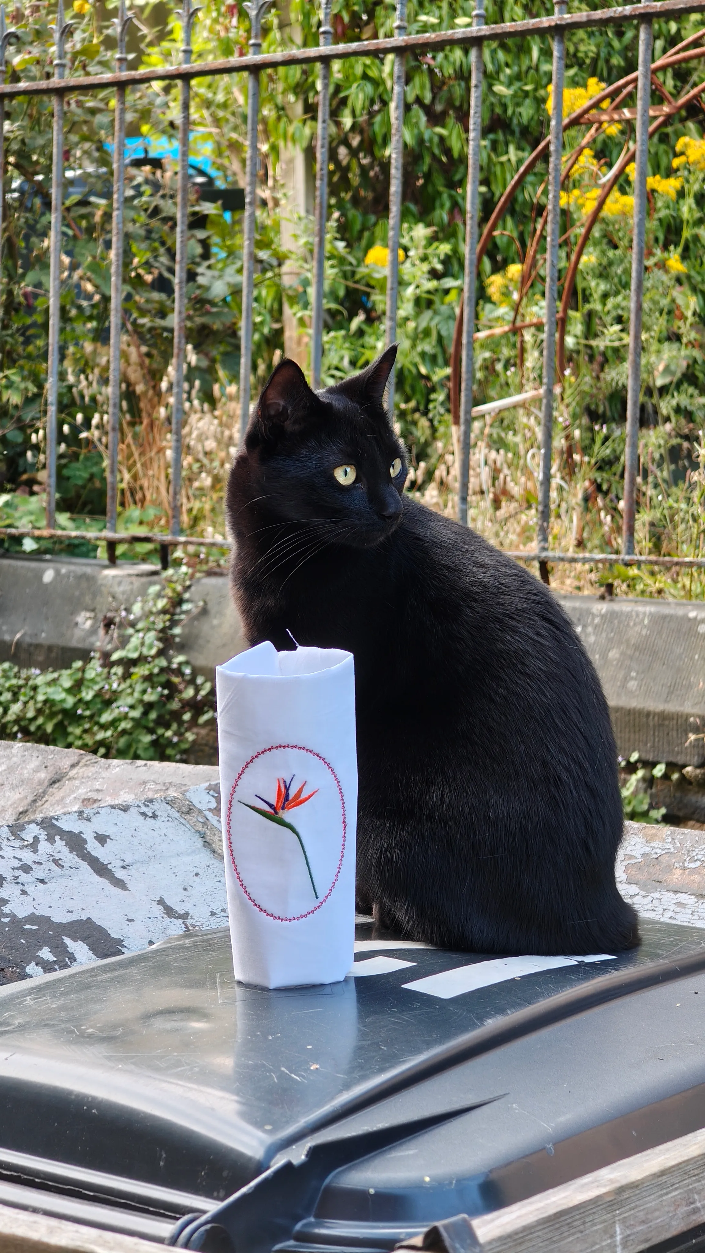 Embroidered bird-of-paradise flower on a white pouch, with a black cat sat beside it